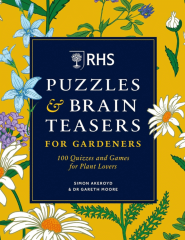 puzzles-brain-teasers